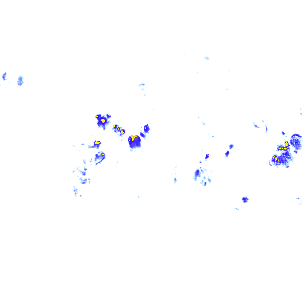 rainLayer