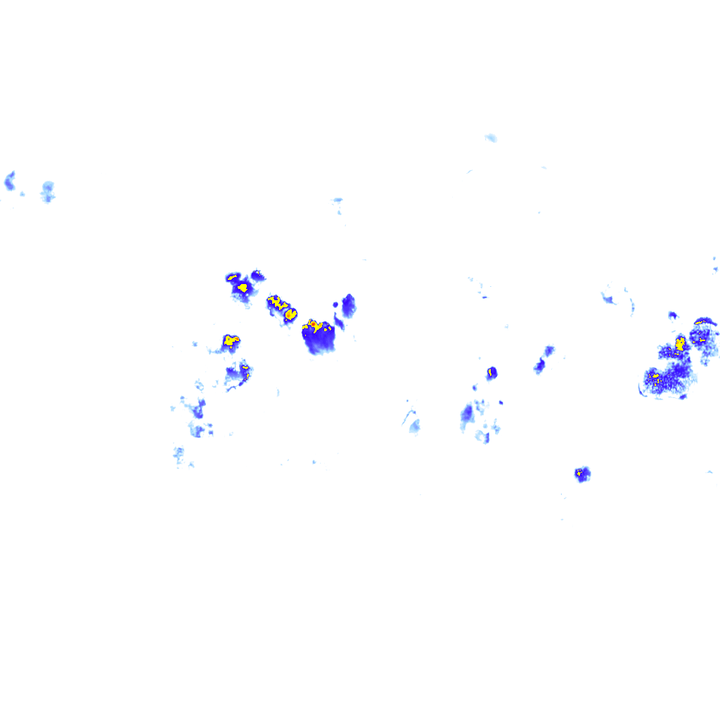 rainLayer