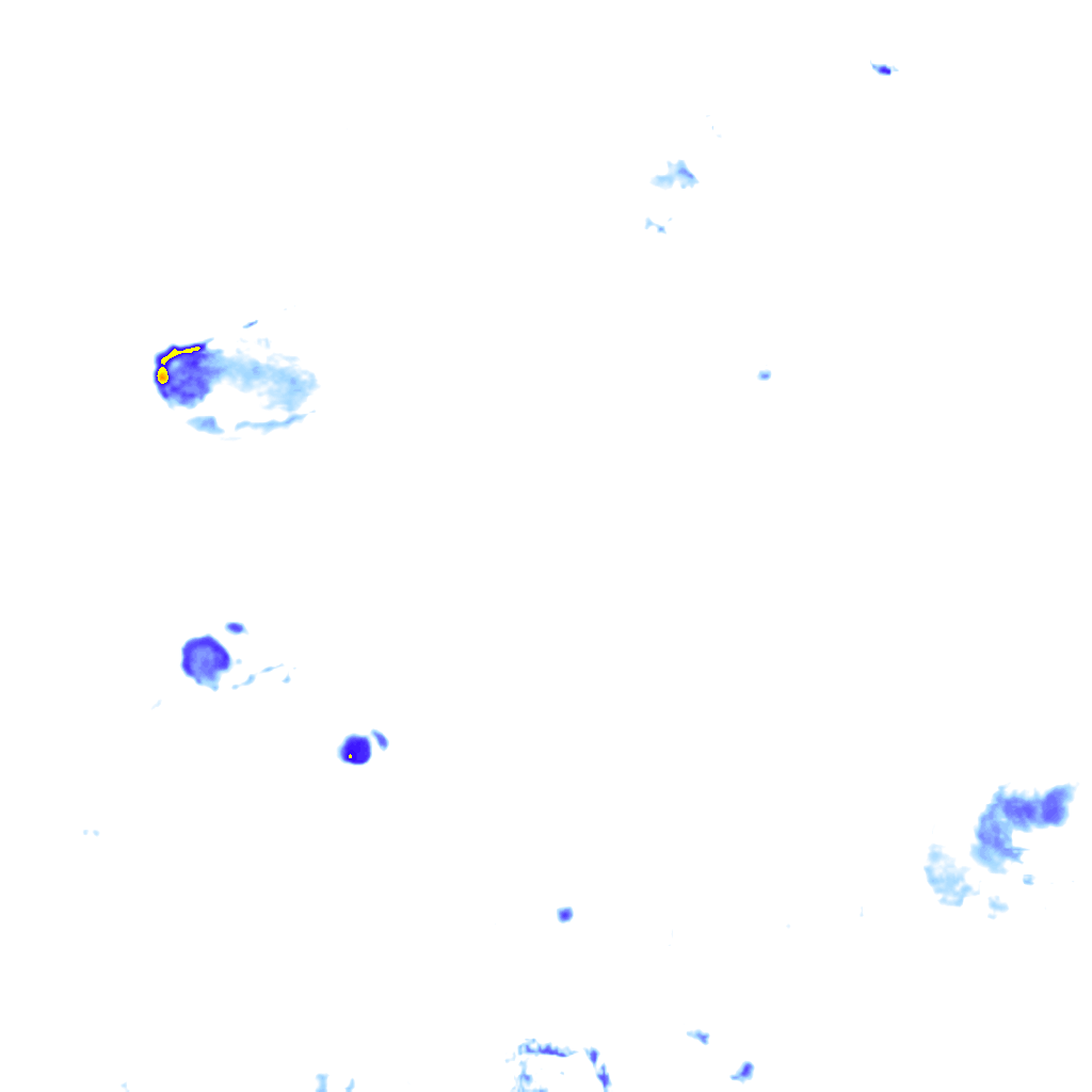 rainLayer