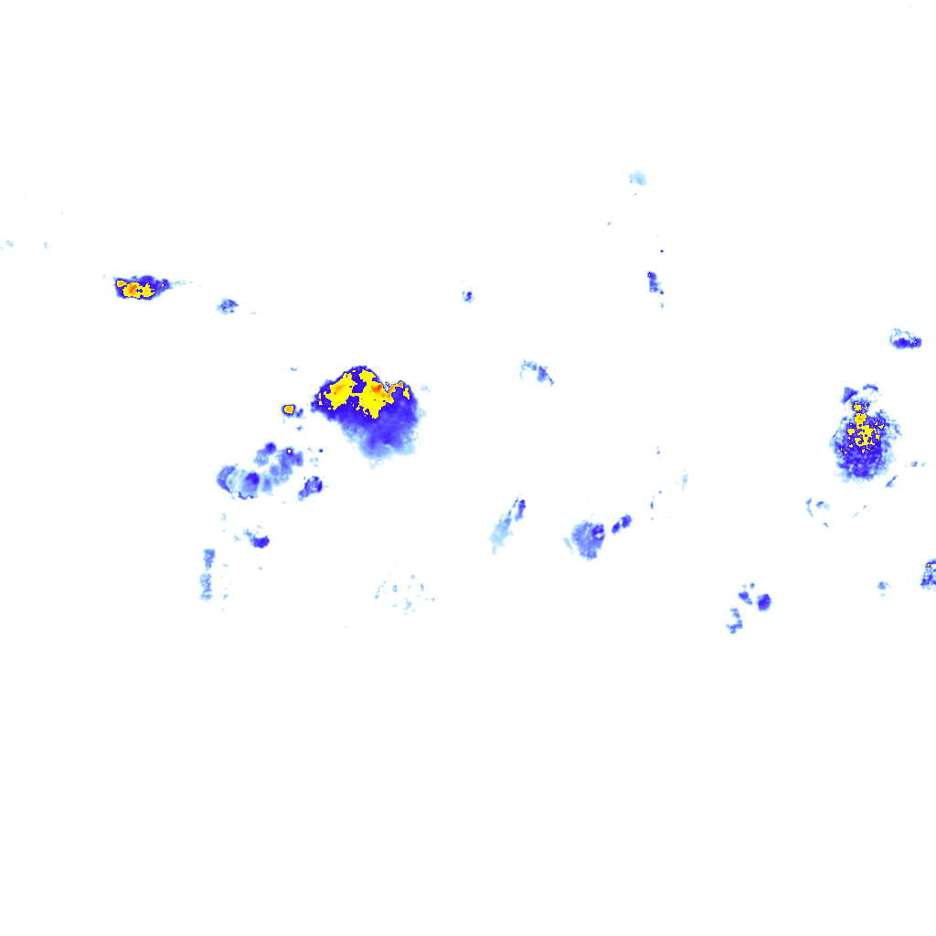 rainLayer