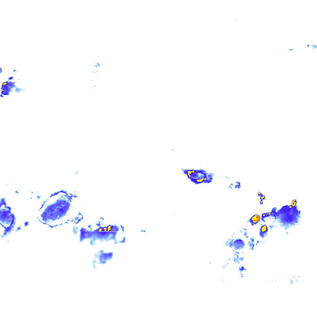 rainLayer
