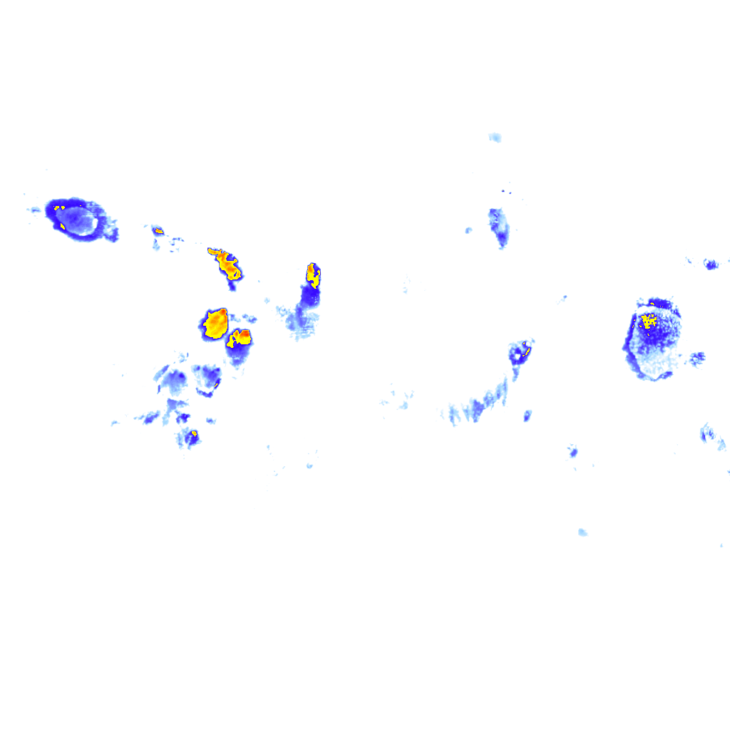 rainLayer