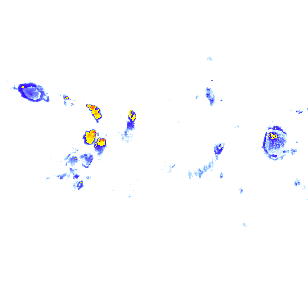 Image Layer