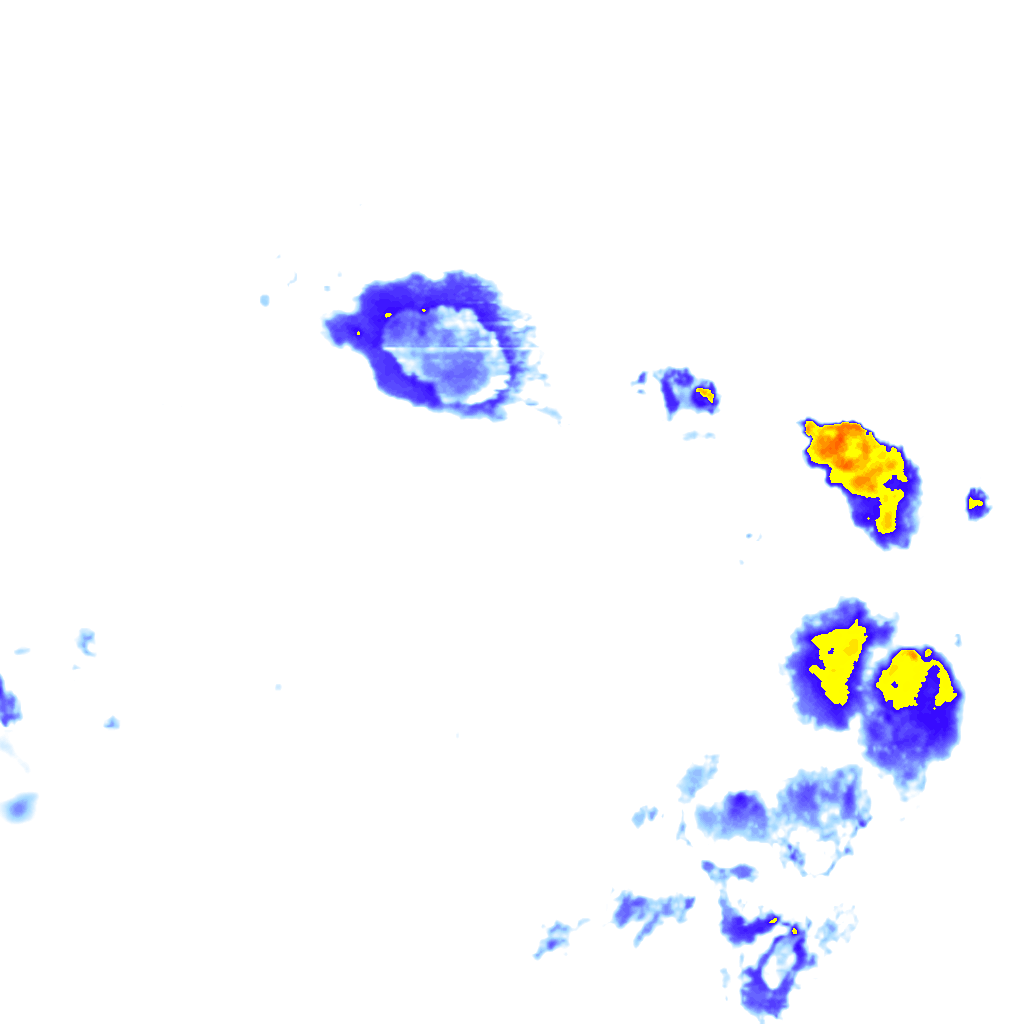 Image Layer