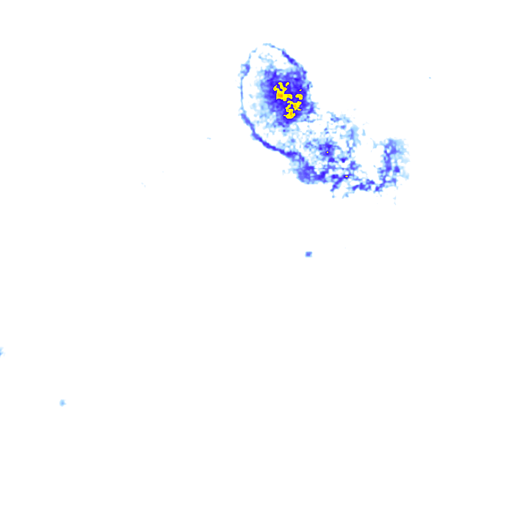 rainLayer