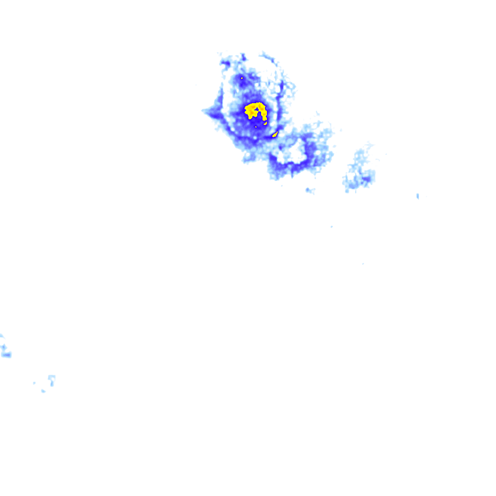 rainLayer