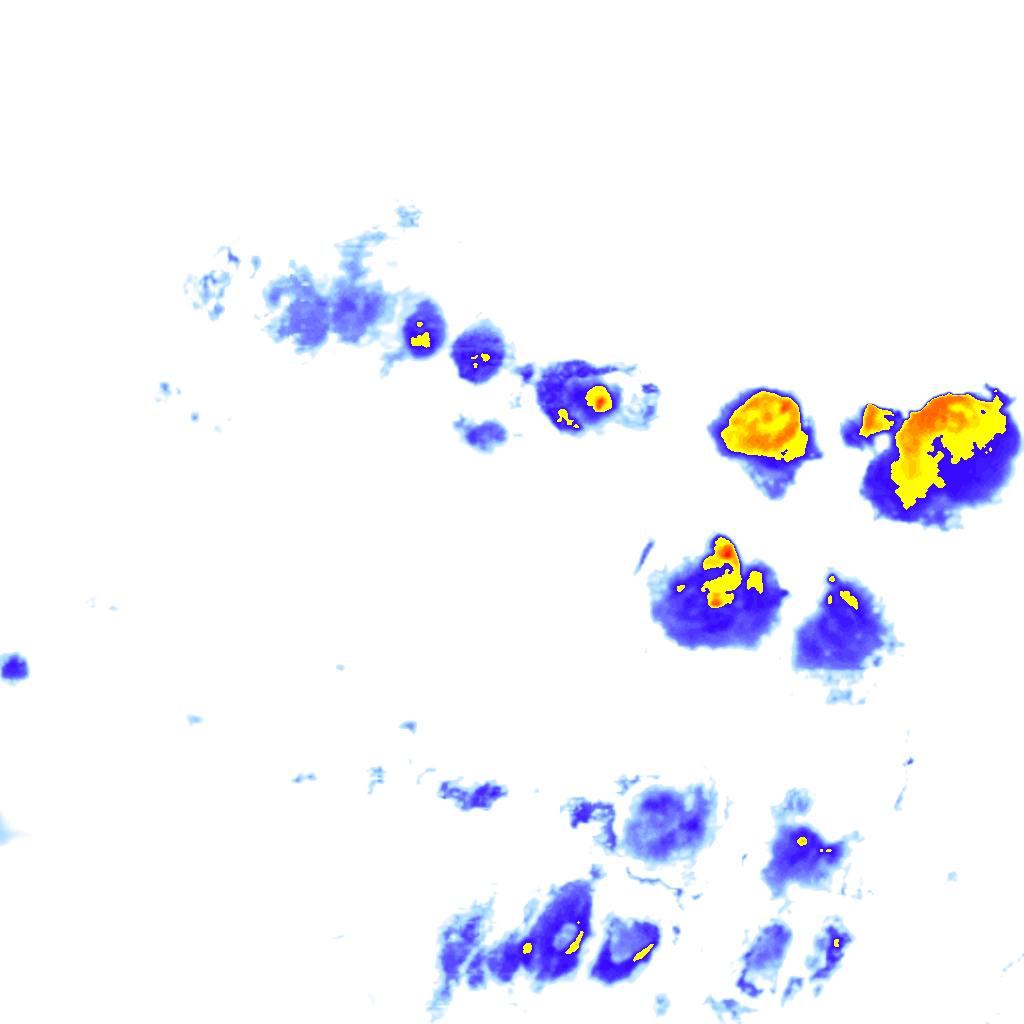 Image Layer