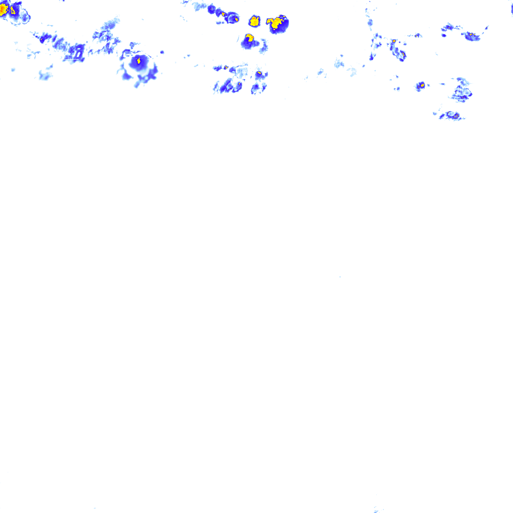 rainLayer