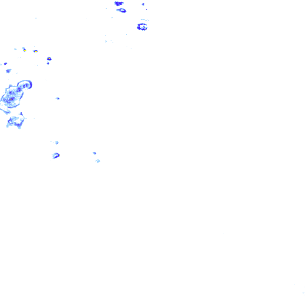 rainLayer