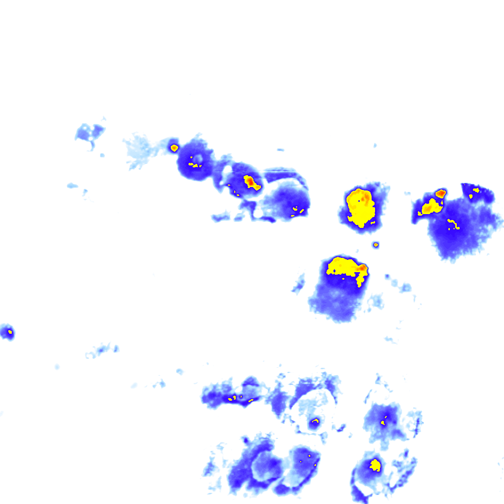 rainLayer