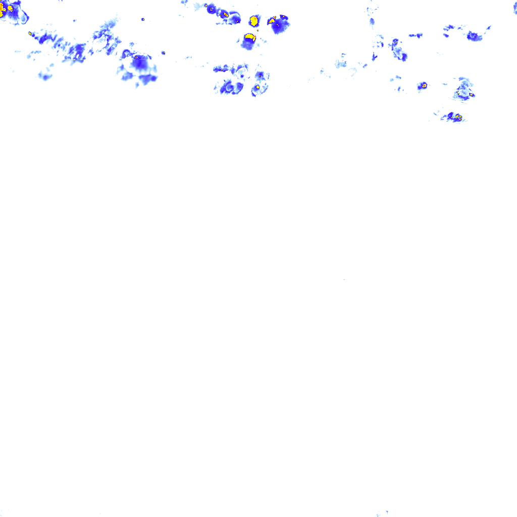 rainLayer