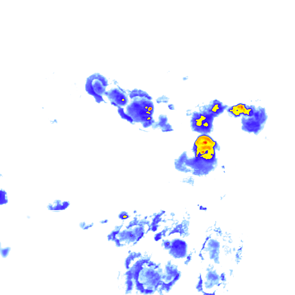 rainLayer