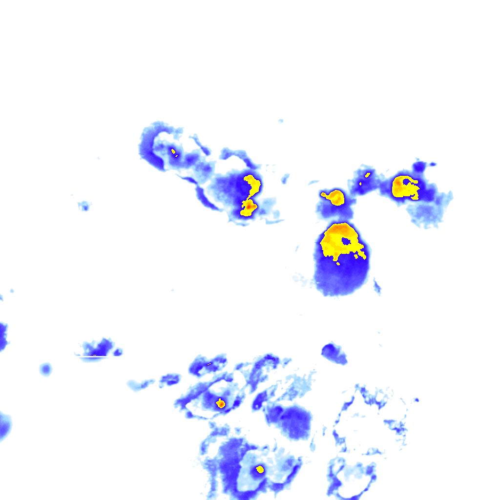 rainLayer