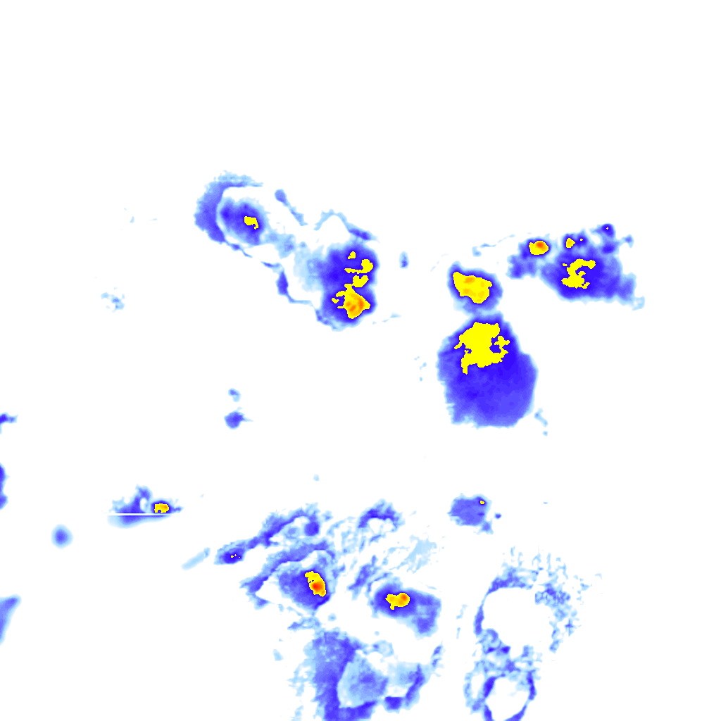 Image Layer