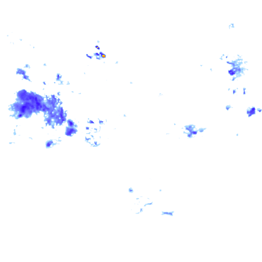 rainLayer