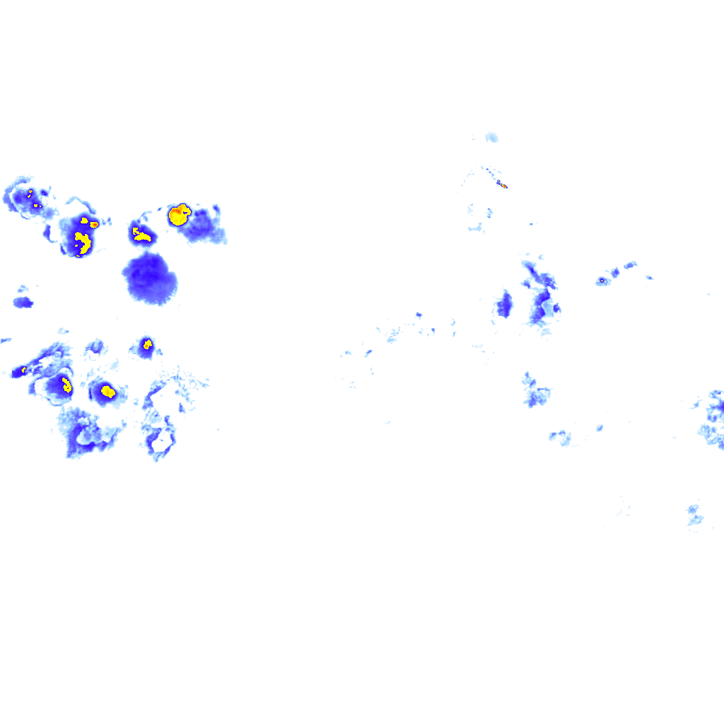rainLayer
