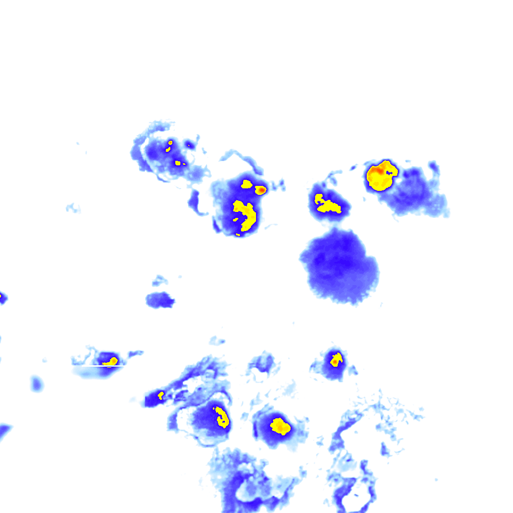 Image Layer