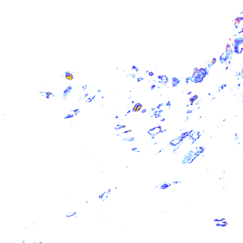 rainLayer