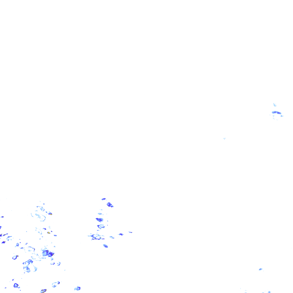 rainLayer
