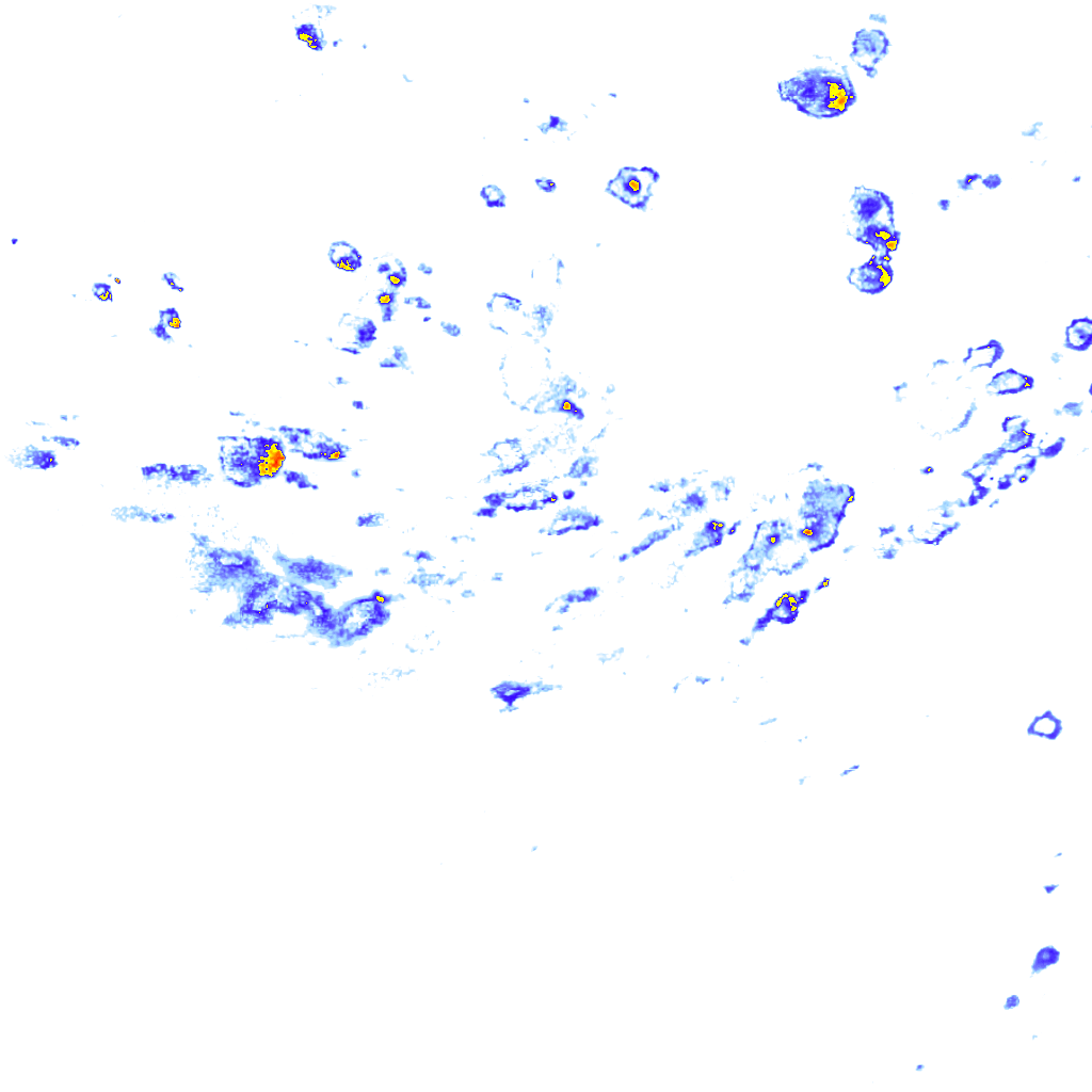 rainLayer