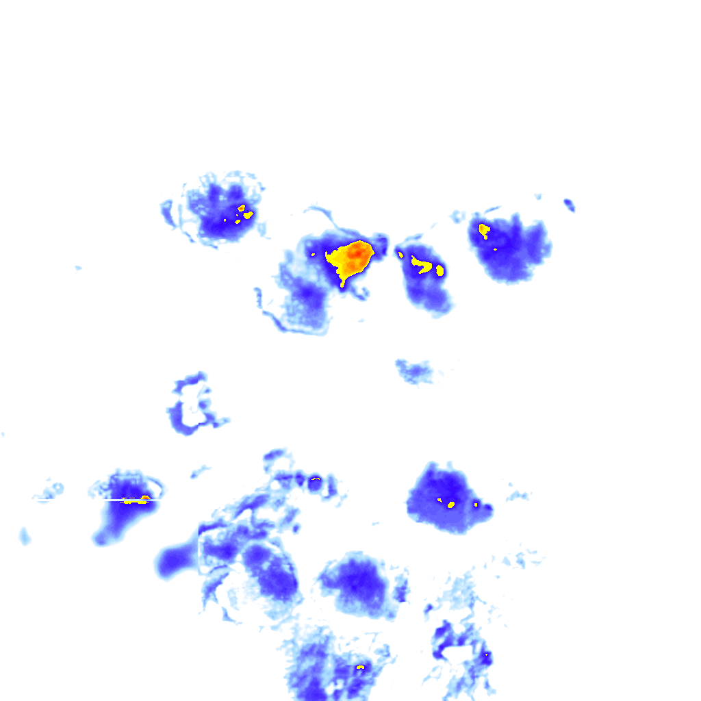 rainLayer