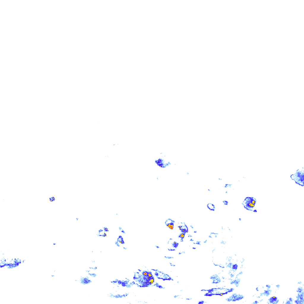 rainLayer