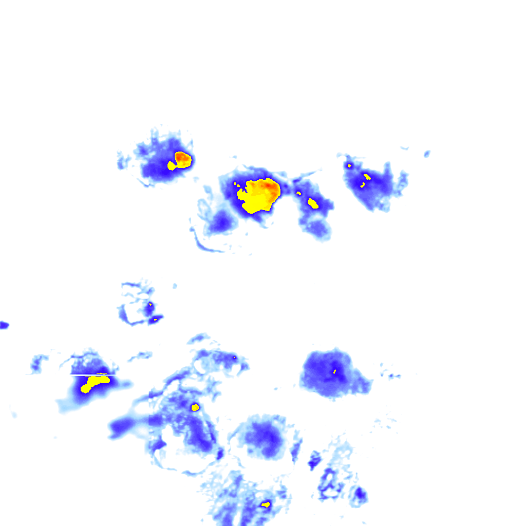 Image Layer