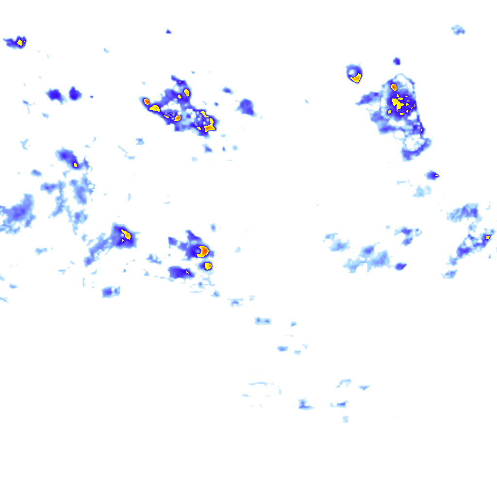 rainLayer