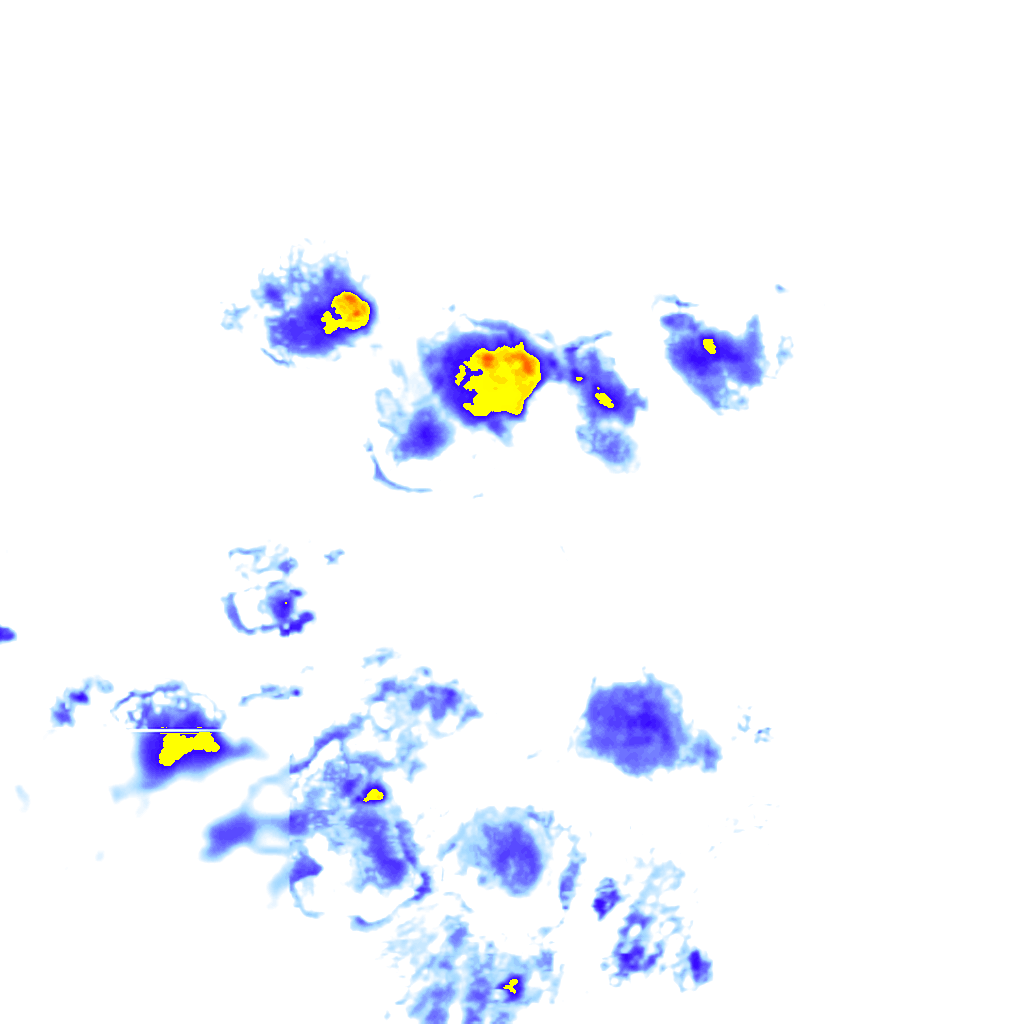 Image Layer