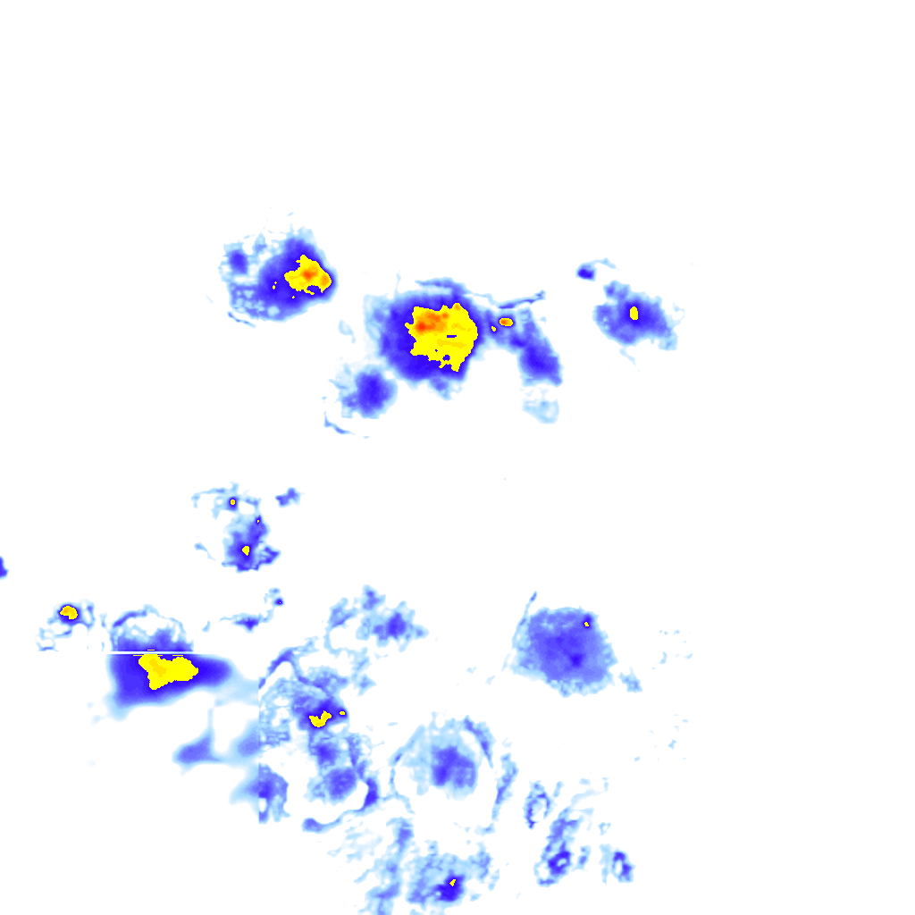 Image Layer