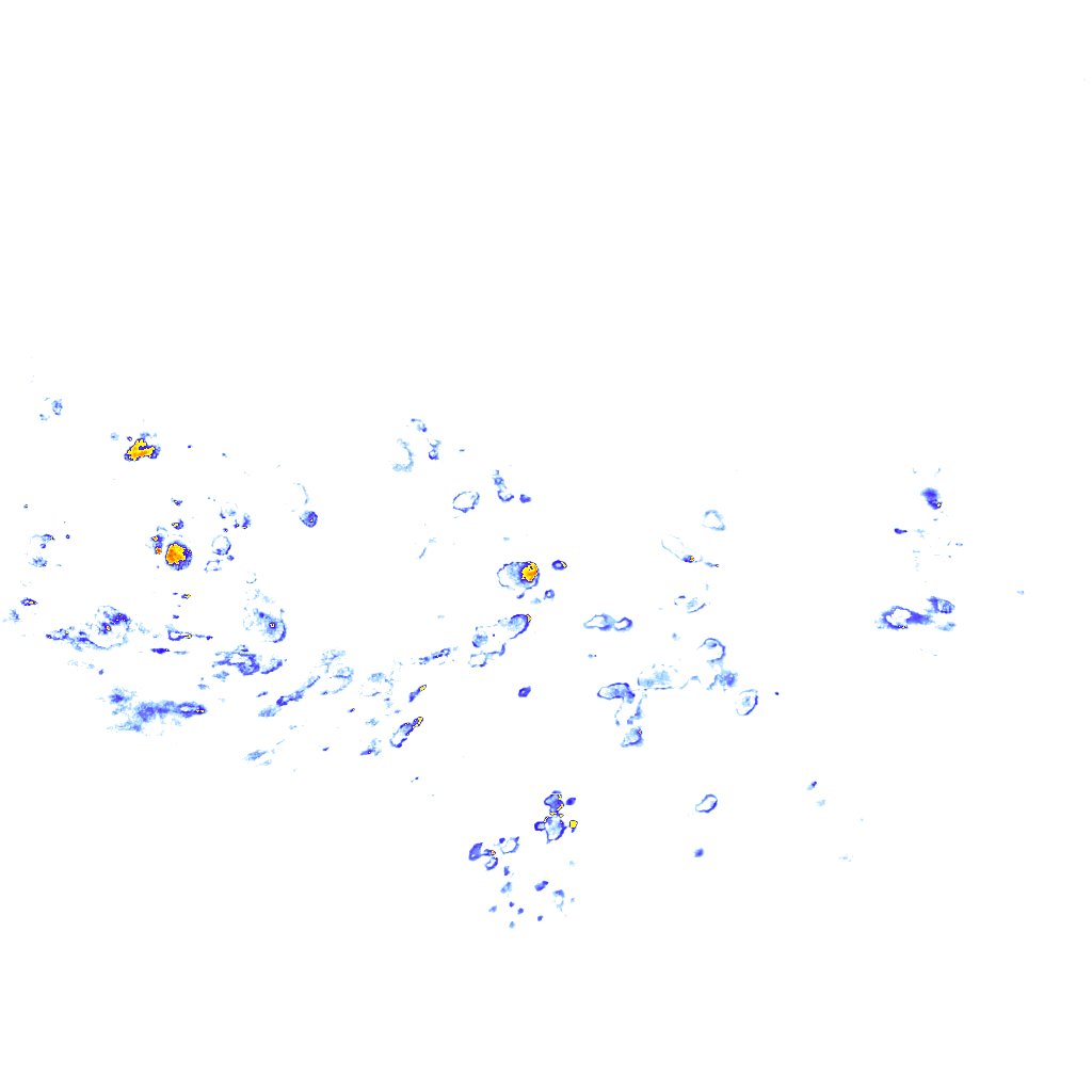 rainLayer