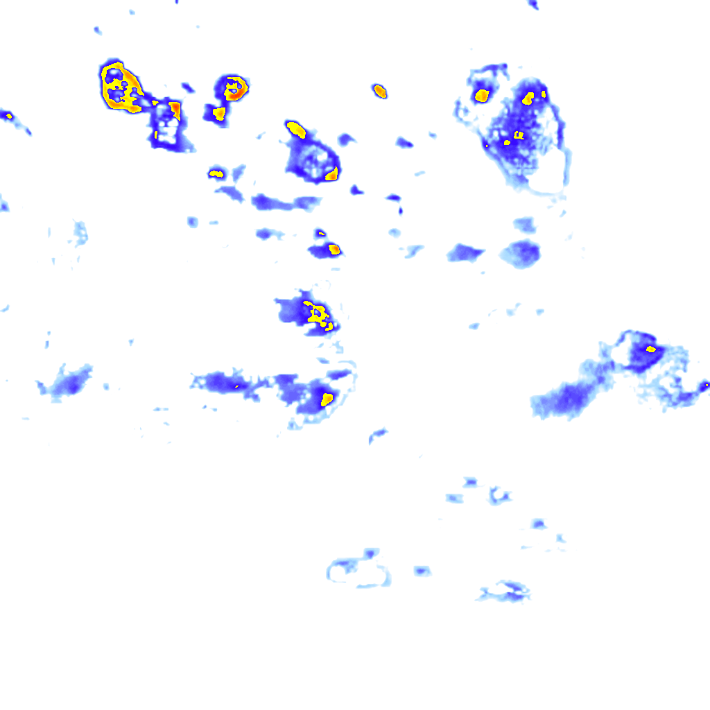 Image Layer