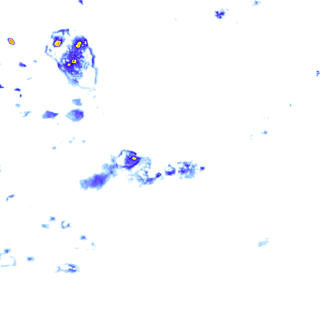 Image Layer