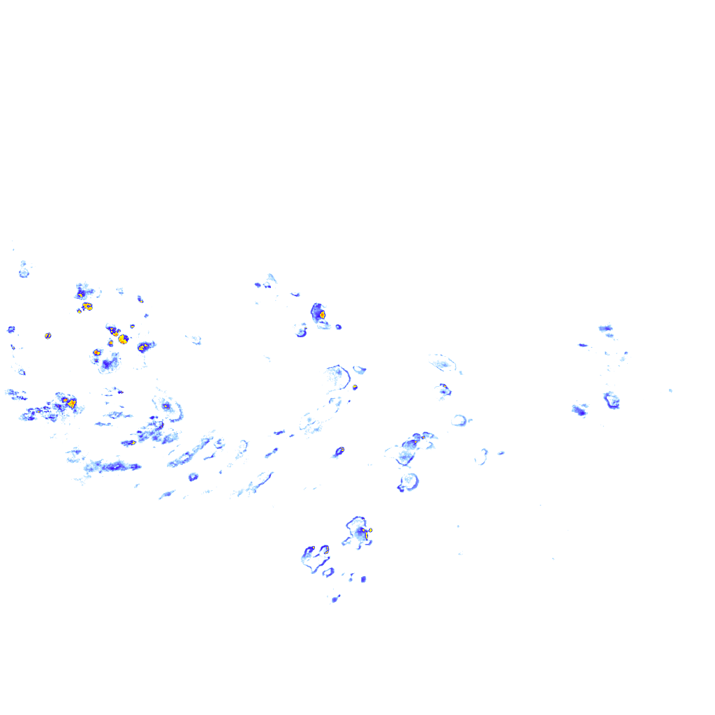 rainLayer