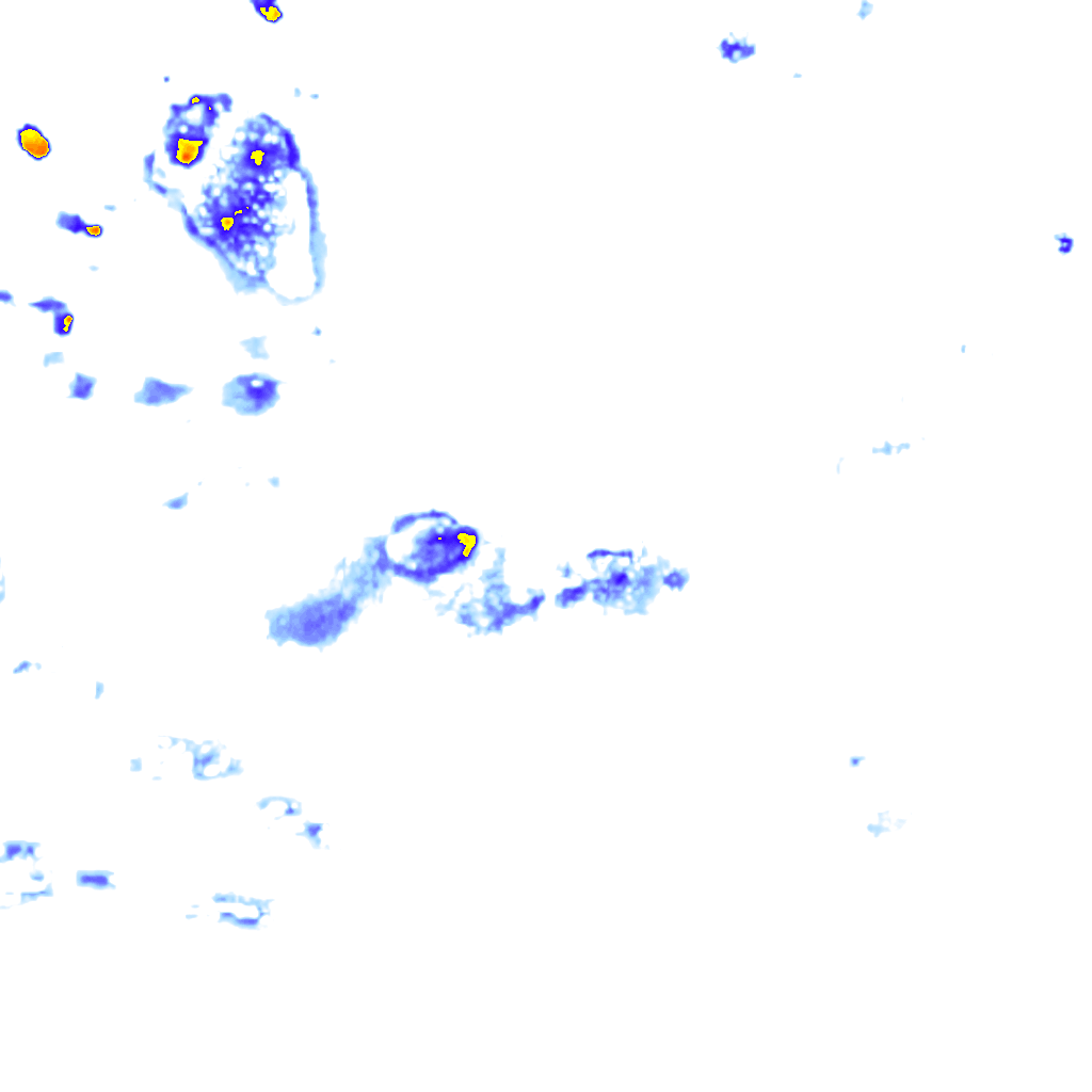 rainLayer