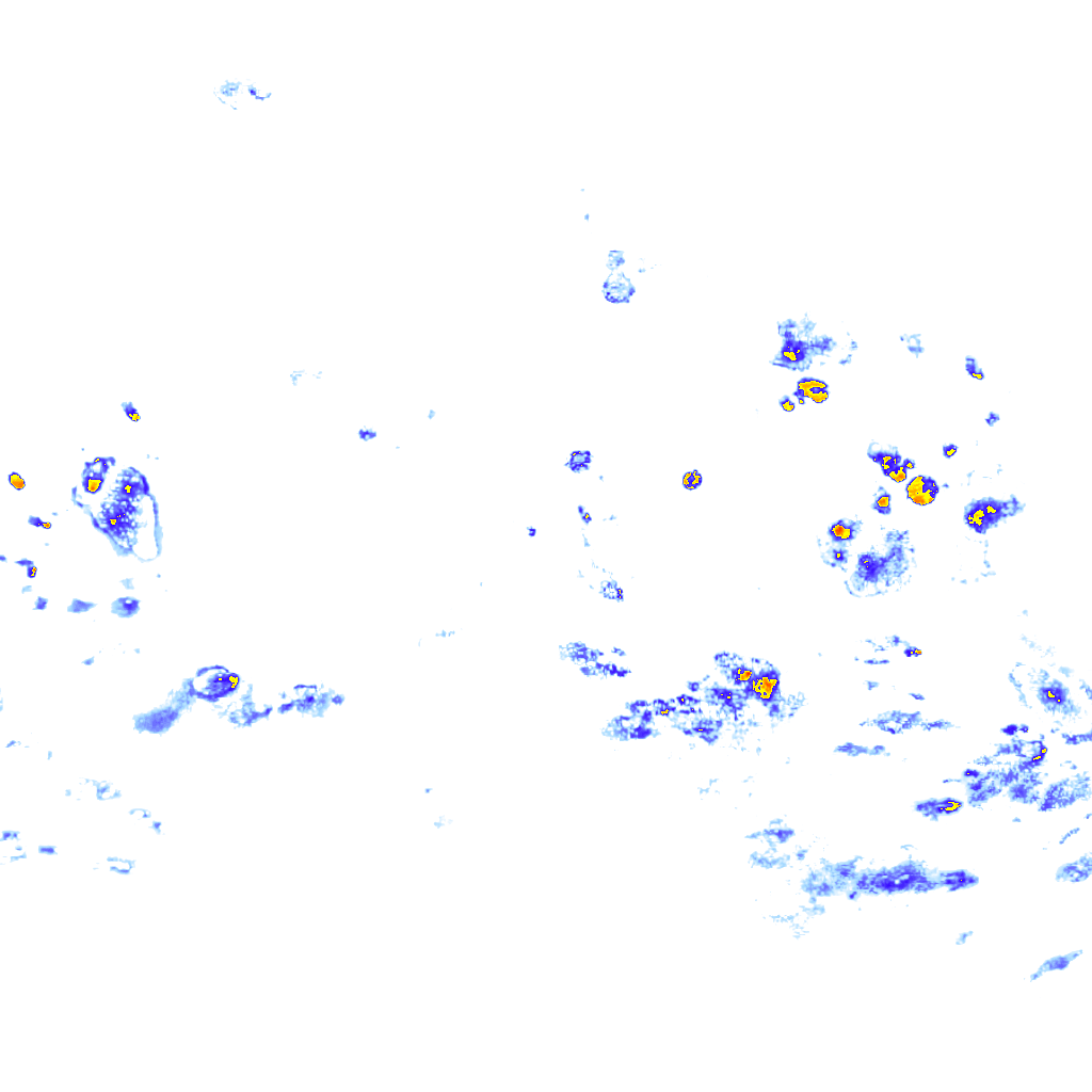 rainLayer