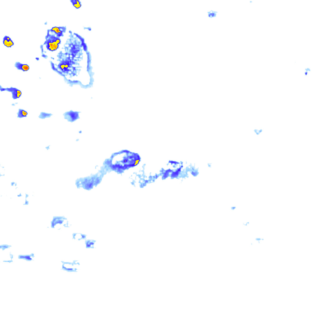 rainLayer