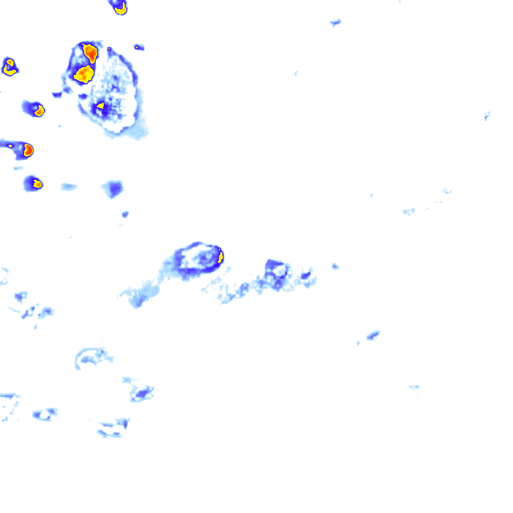 rainLayer
