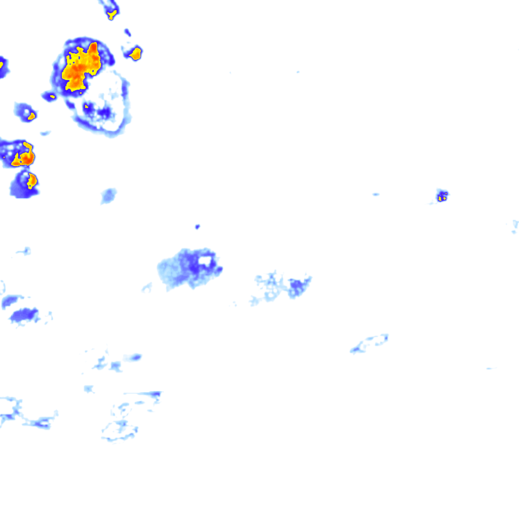 rainLayer
