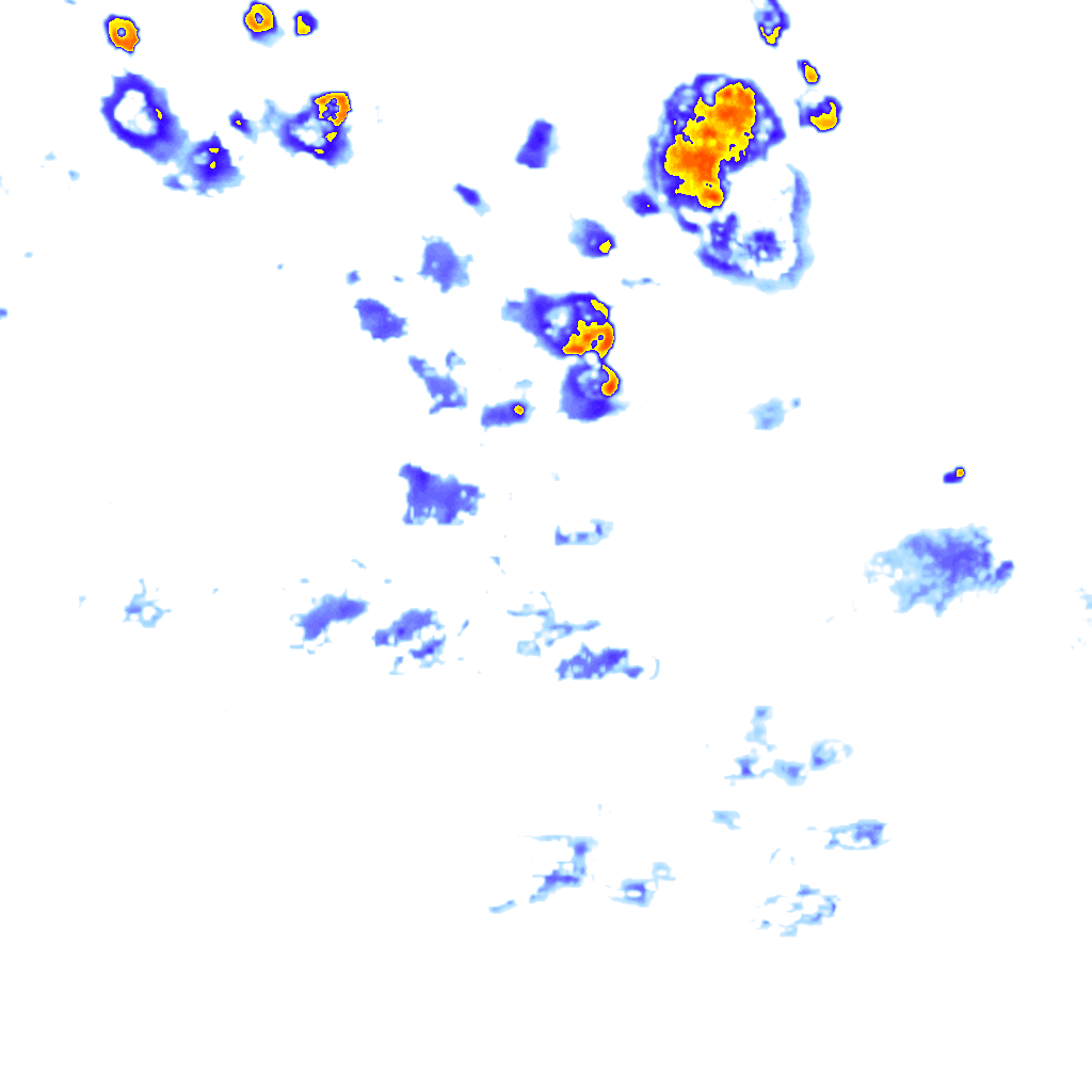 rainLayer