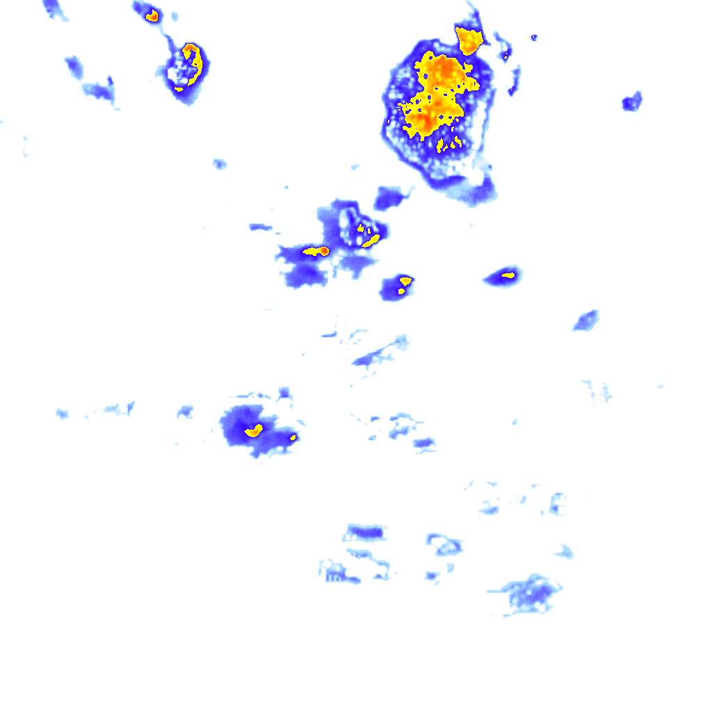 Image Layer