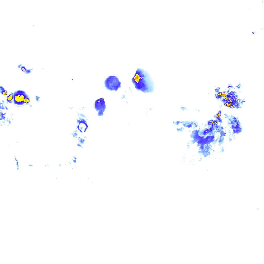 rainLayer