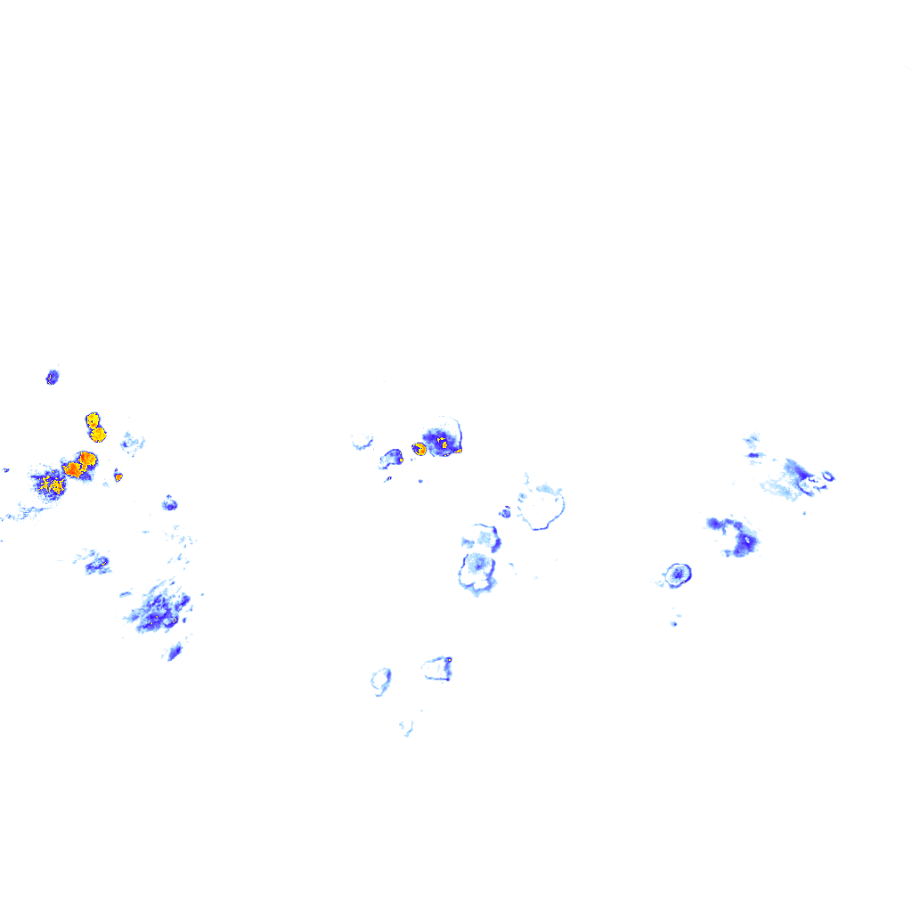 rainLayer