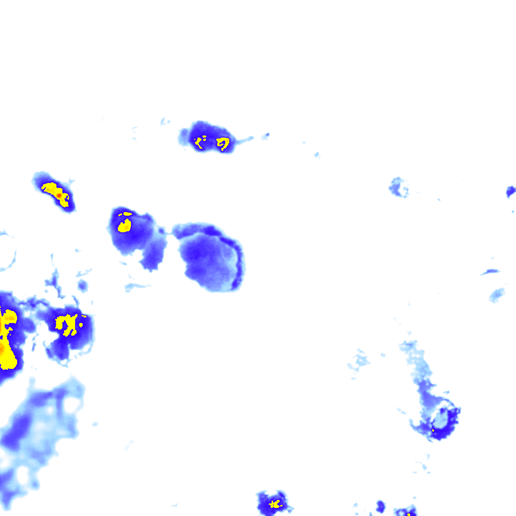 Image Layer