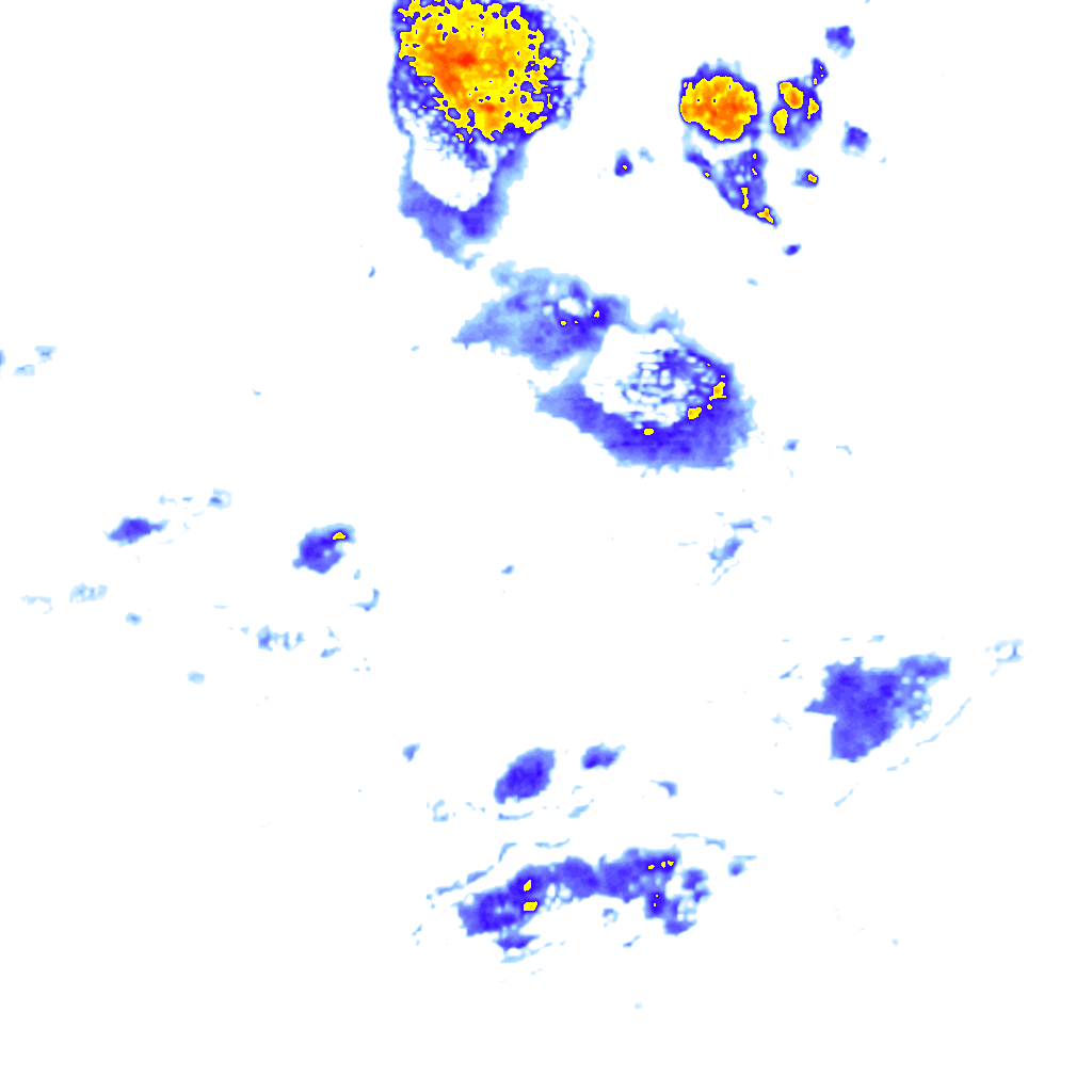 rainLayer
