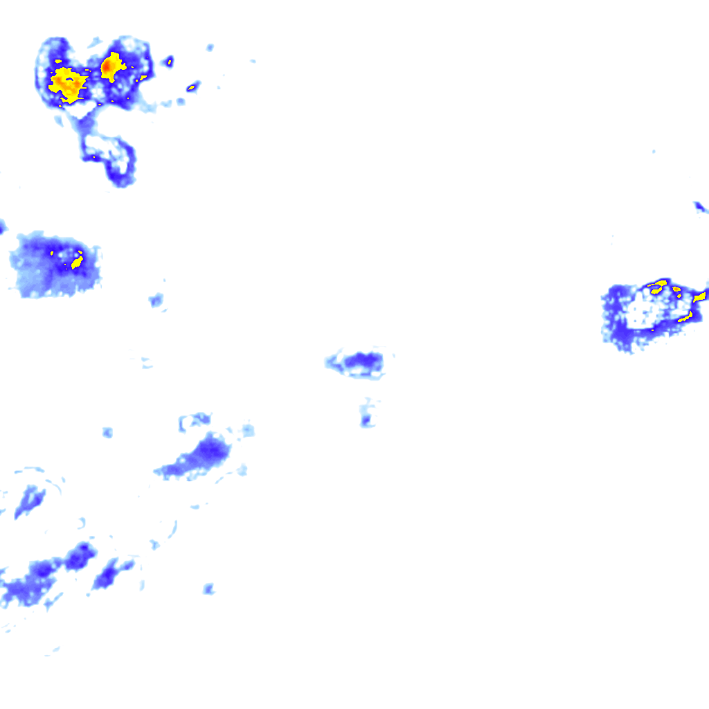 rainLayer