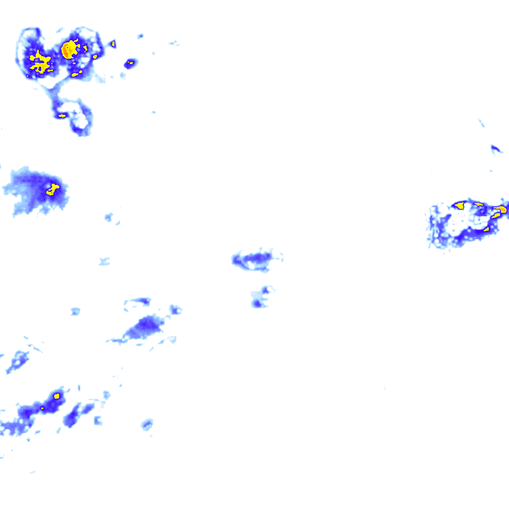 Image Layer