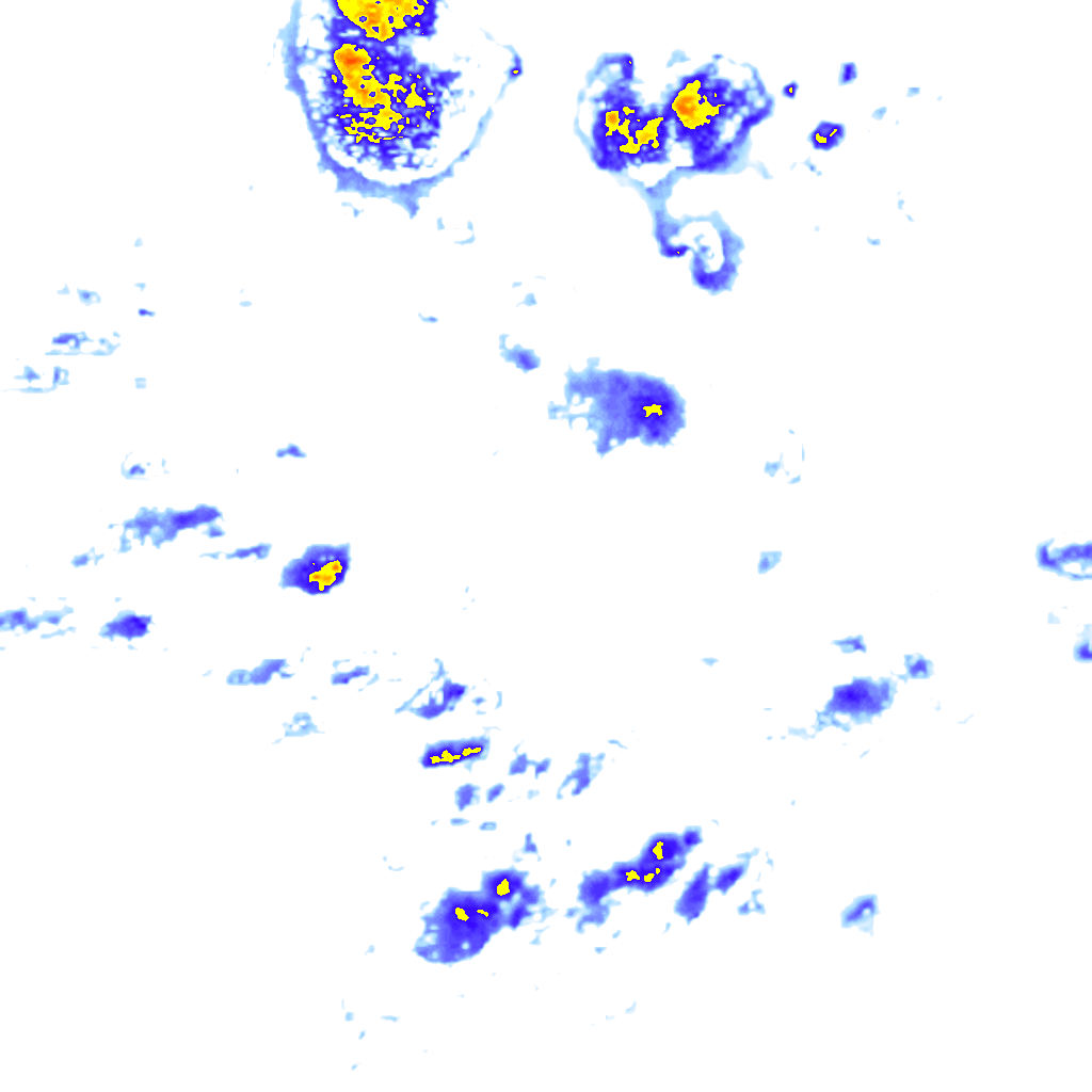 rainLayer