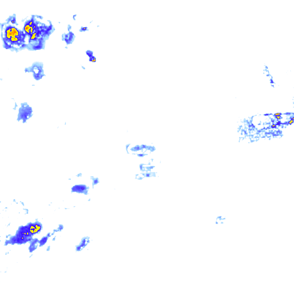 rainLayer