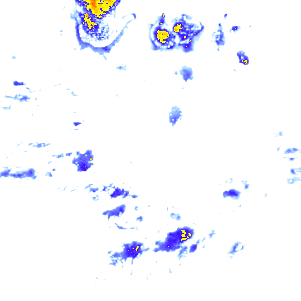 Image Layer